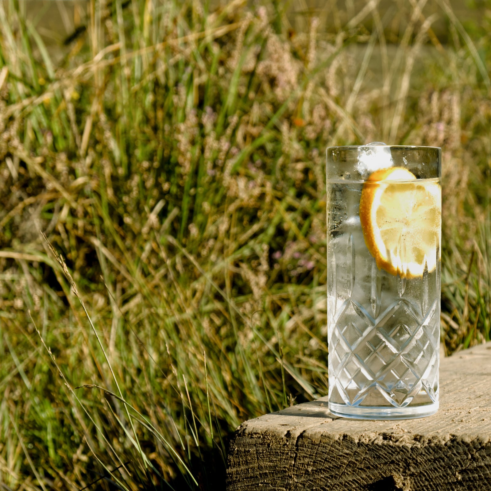 Copper Frog Gin and tonic set in the Devon country side.