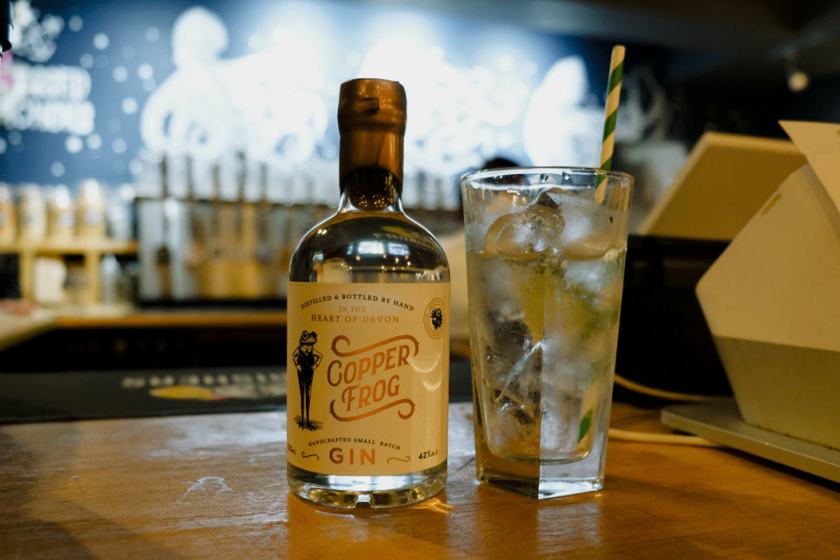 A bottle of Copper Frog Gin at the Grapevine, Exmouth, Devon.