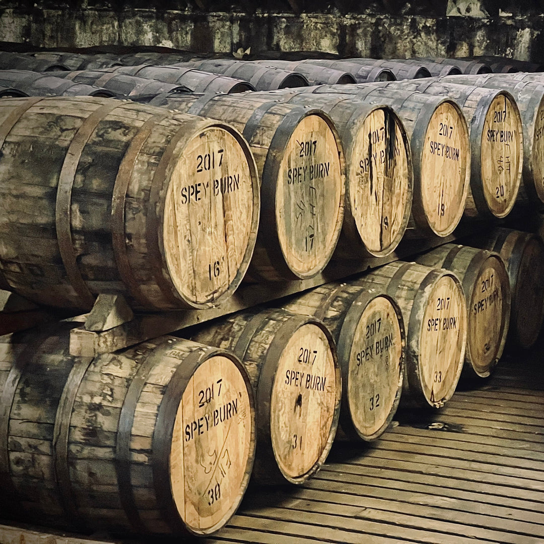 Row of wooden barrels with 'Speyburn' branding on a wooden floor.